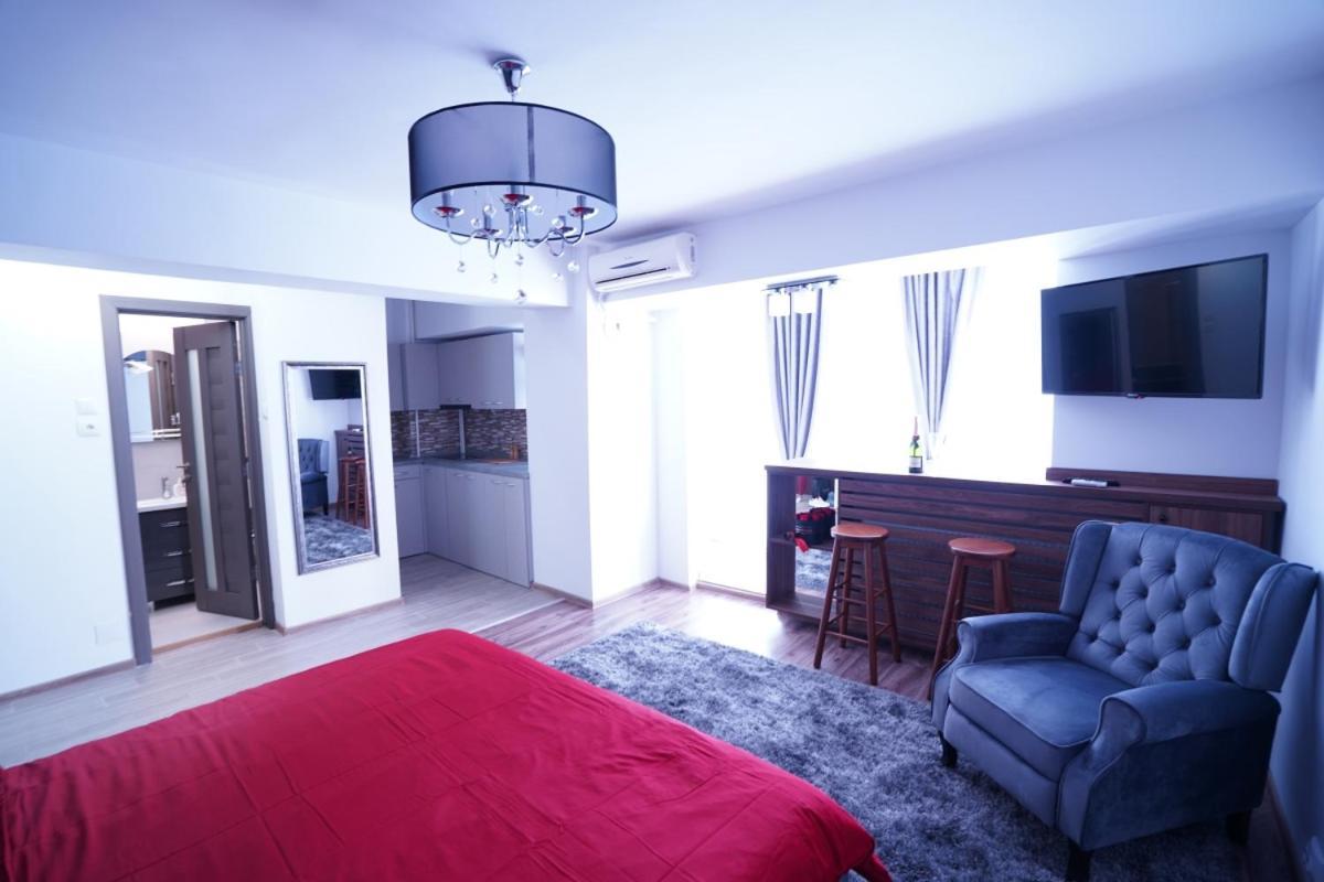 Luxury 1Br Studio Near Hanul Drumetului 布加勒斯特 外观 照片